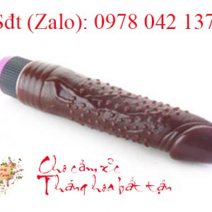 Dương vật giả cầm tay giá rẻ có gai cho nữ 1