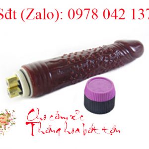 Dương vật giả cầm tay giá rẻ có gai cho nữ 2