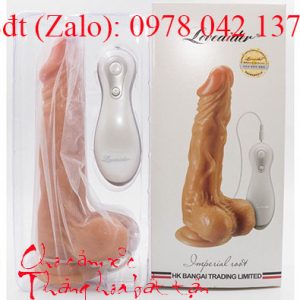 Dương vật gắn sàn rung ngoái lovet aider 1