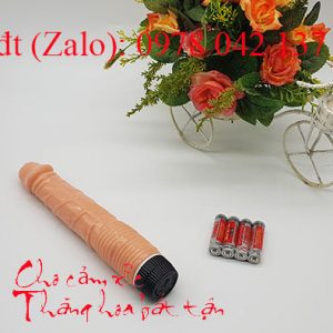 Dương vật cầm tay cong có rung 1
