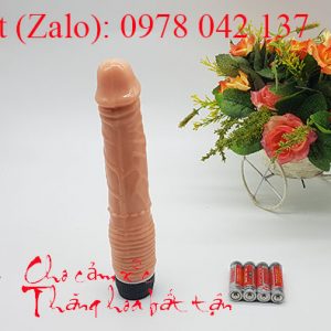 Dương vật cầm tay cong có rung 4