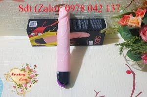 Dương vật cầm tay rung ngoáy cho nữ 2