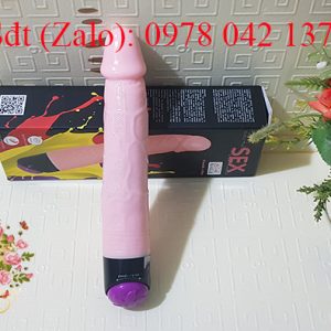 Dương vật cầm tay rung ngoáy cho nữ 3