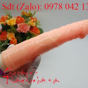 Dương vật rung cầm tay 2