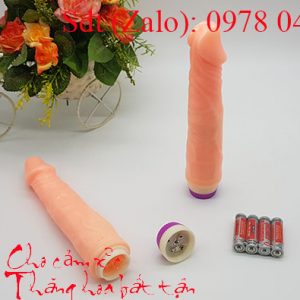 Dương vật rung cầm tay 3
