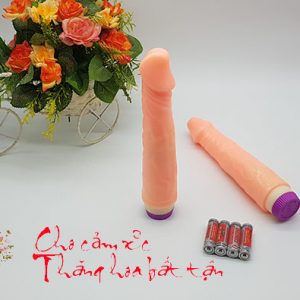 Dương vật rung cầm tay 5