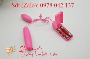 Trứng rung tình yêu đôi giá rẻ 2